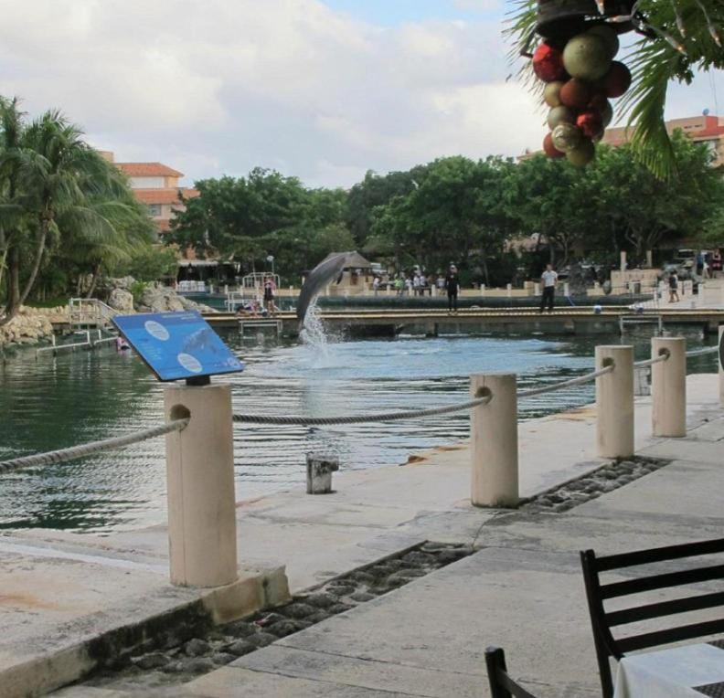 Puerto Aventuras, Departamento A Unos Pasos De La Playa Exterior foto