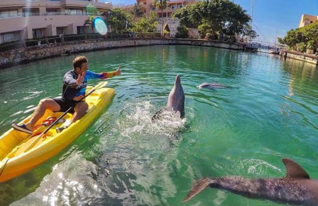 Puerto Aventuras, Departamento A Unos Pasos De La Playa Exterior foto